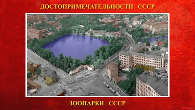 Детский зоопарк в Москве временно закроют с 4 сентября