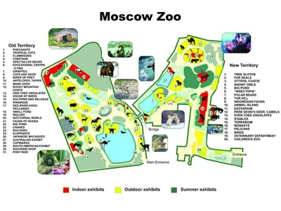 Московский зоопарк в Москве: подробное описание, афиша ближайших событий —  Кавёр