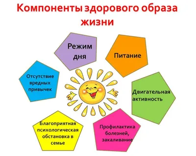 Здоровый образ жизни: принципы, советы начинающим | РБК Life