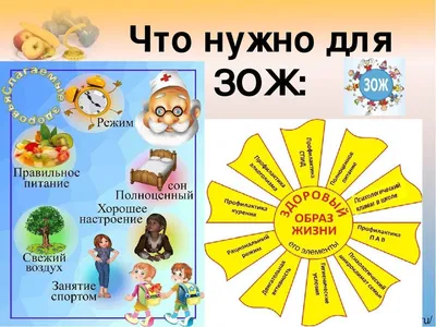 Здоровый Образ Жизни
