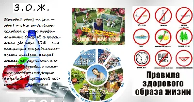 Стенгазета «Мы выбираем ЗОЖ» (1 фото). Воспитателям детских садов, школьным  учителям и педагогам - Маам.ру