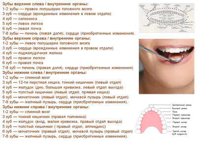 Психосоматика - связь между Родом и зубами | Сайт психологов b17.ru | Дзен