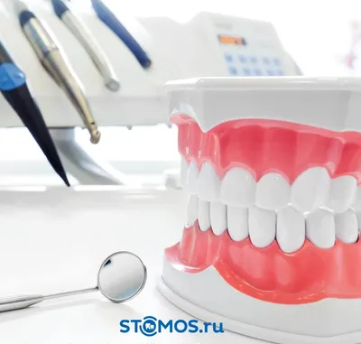 Стоматологія лікаря Макієвського - Из чего состоит зуб человека? Основной  материал, из которого состоят зубы, – твердая ткань (кость). Их главное  предназначение – пережевывание продуктов питания. Еще одна функция – помощь  при