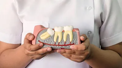 Зубы первобытных людей