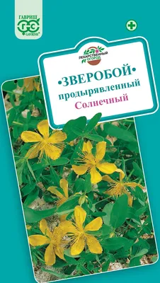 Семена лекарственных трав Зверобой Обыкновенный купить в Украине | Веснодар