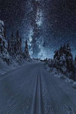 Звездное небо зимы | Пикабу