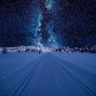 Картинки звезда, дорога, небо, лес, снег, зима, звезды, ночь, красота,  природа - обои 1024x768, картинка №103061