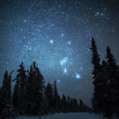 Звёздная ночь в Норвегии | Пикабу