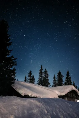 Звёздное небо зимой ночью на фоне…» — создано в Шедевруме