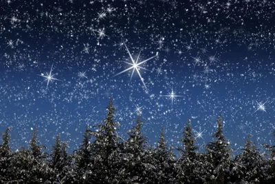 Дорога ночь звёздное небо снег зима темный обои фоны iphone android  wallpaper backgrounds | Пейзажи, Живописные пейзажи, Природа