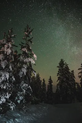 Зима снежная ночь небо дерево место на берегу озера Фон Обои Изображение  для бесплатной загрузки - Pngtree
