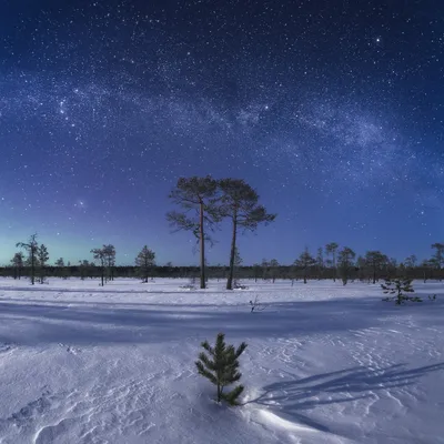 Звездное небо луна зима» — создано в Шедевруме