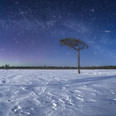 Картинки звездное небо зимой (67 фото) » Картинки и статусы про окружающий  мир вокруг