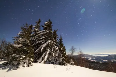 звездное небо в зимний снег. большой молочный путь. величественный  ландшафт. любезность Насы Стоковое Изображение - изображение насчитывающей  горизонт, пуща: 247109403