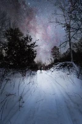 Волшебный зимний пейзаж с заснеженным деревом яркое ночное небо со звездами  и туманностью и галактикой астрофото глубокого неба | Премиум Фото