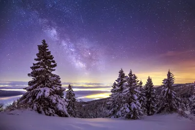Звёздное небо зимой» — создано в Шедевруме