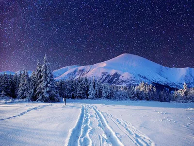 Звездное небо зимой (55 фото) | Идеи озеленения, Пейзажи, Закаты
