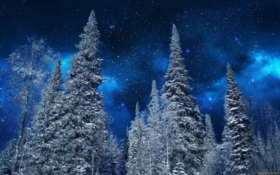 Фантастическое звездное небо зимний пейзаж и заснеженные вершины карпаты  украина европа | Премиум Фото